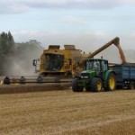 harvesting-641913-m