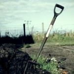 gardening-2-1318768-m